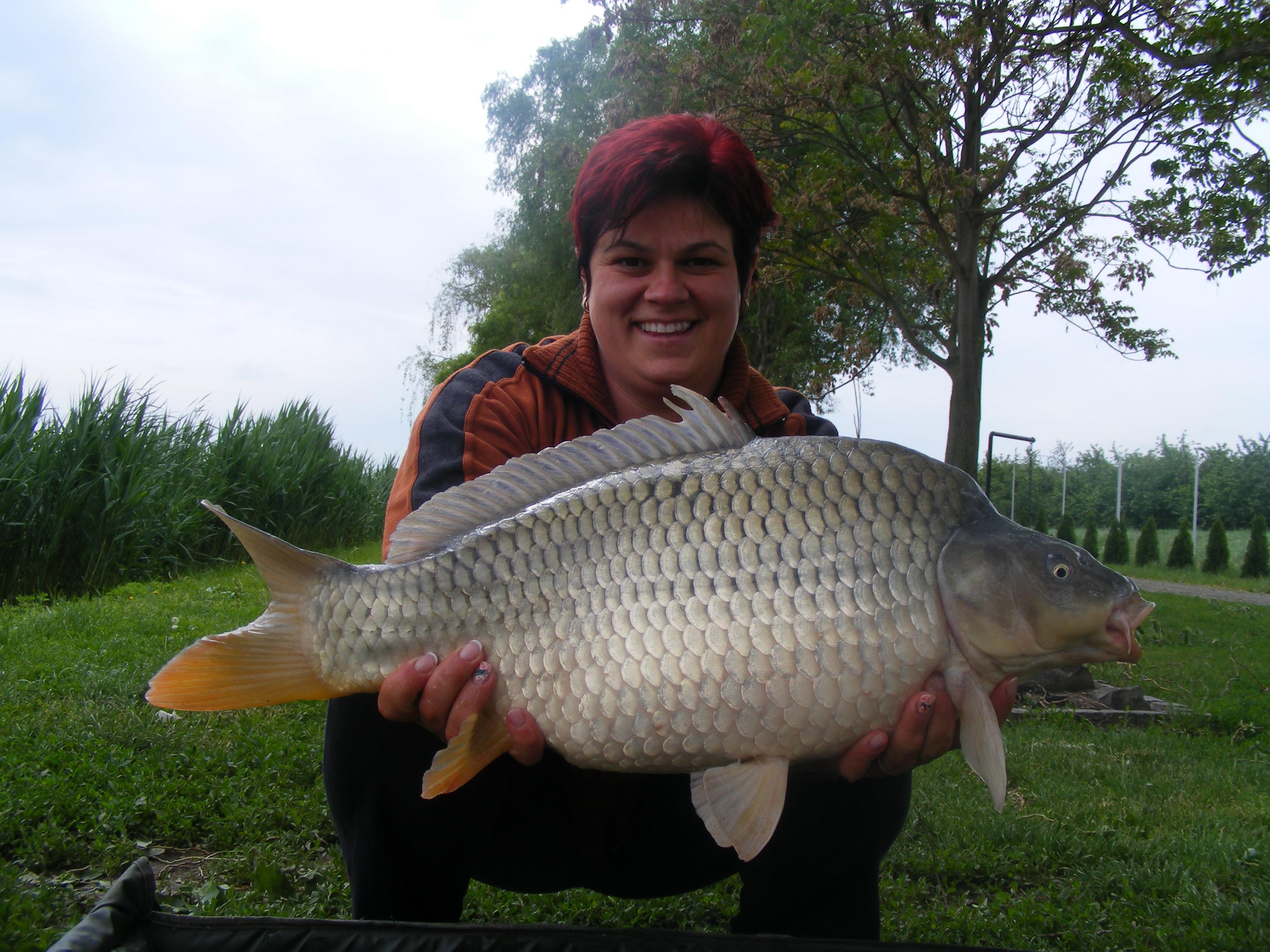 Nagykallo,13-17.05.2012  - DSCF5561.JPG